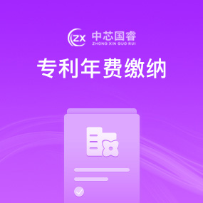 专利年费缴纳