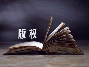 个人如何进行版权登记